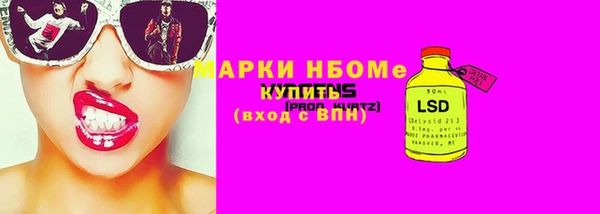 прущий лед Новозыбков