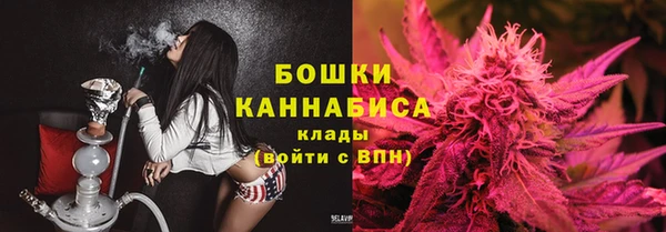 бошки Нея