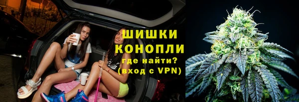 прущий лед Новозыбков